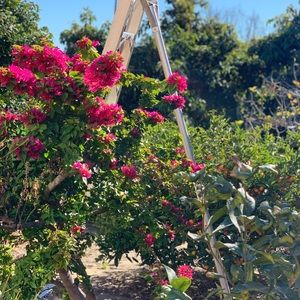 Meet your Posher, Ben